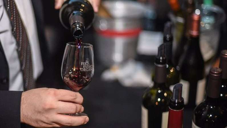 Feria vinos orgánicos y sustentables