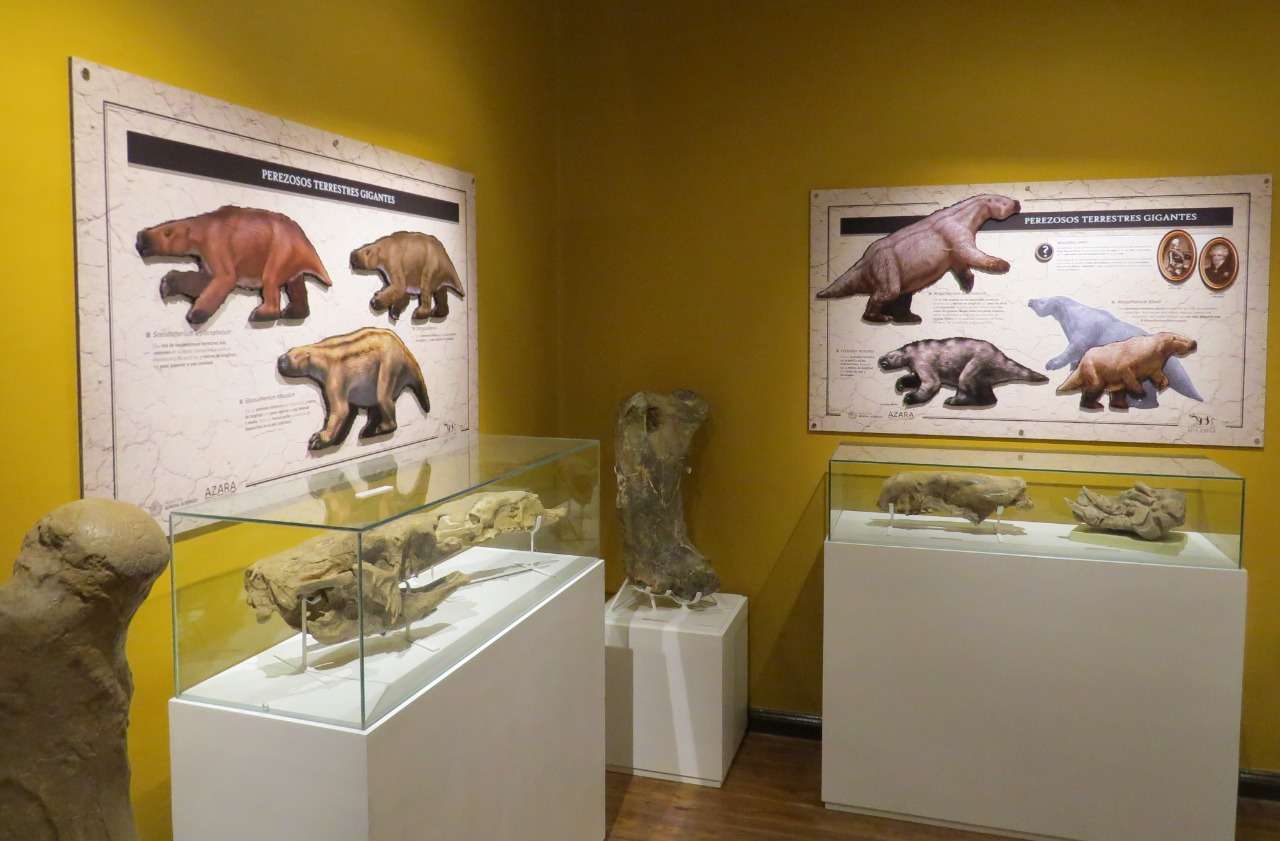Miramar Museo Ciencias Naturales 01