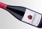 bodega goyenechea lorenza pinot noir 2018